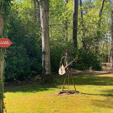 Willa Le Petit Poulailler Au Beau Milieu Des Pins Lacanau Zewnętrze zdjęcie