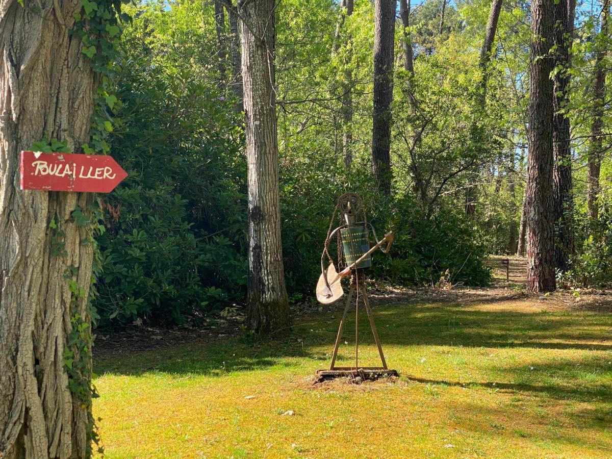 Willa Le Petit Poulailler Au Beau Milieu Des Pins Lacanau Zewnętrze zdjęcie