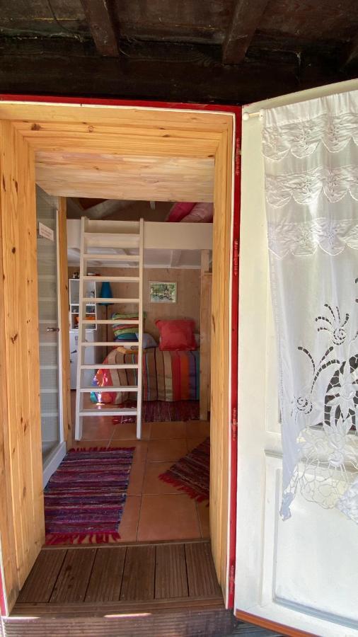 Willa Le Petit Poulailler Au Beau Milieu Des Pins Lacanau Zewnętrze zdjęcie