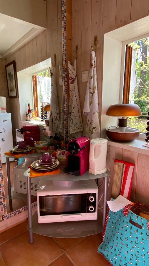 Willa Le Petit Poulailler Au Beau Milieu Des Pins Lacanau Zewnętrze zdjęcie