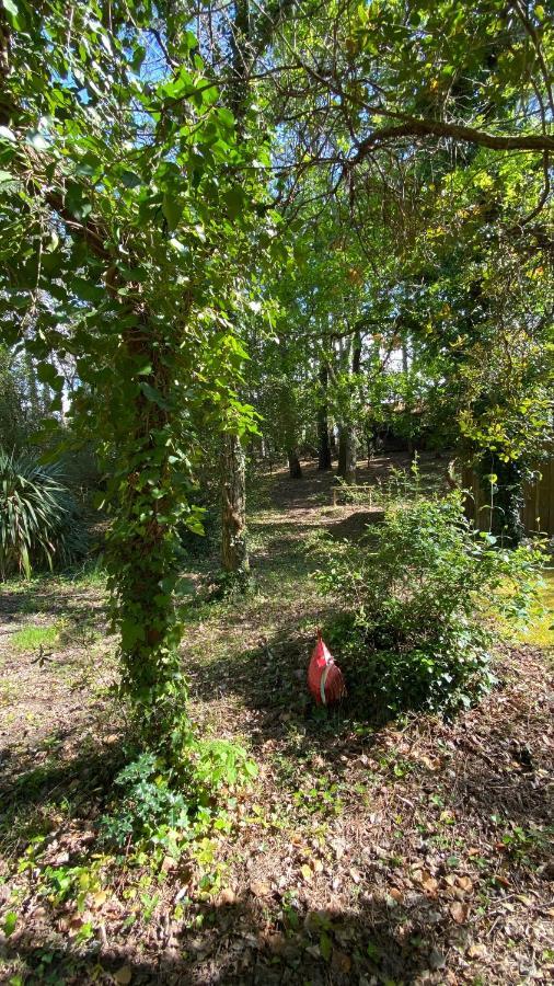 Willa Le Petit Poulailler Au Beau Milieu Des Pins Lacanau Zewnętrze zdjęcie
