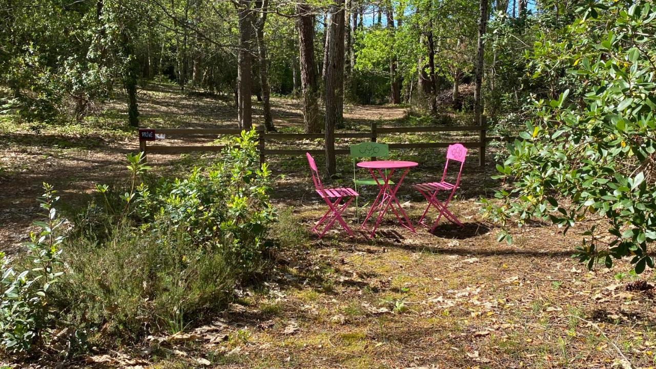 Willa Le Petit Poulailler Au Beau Milieu Des Pins Lacanau Zewnętrze zdjęcie